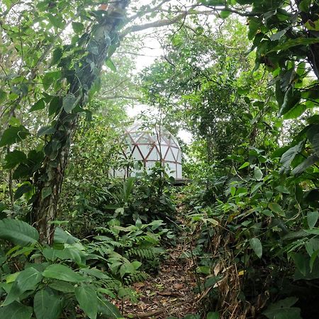 Taorayina Nature Lodge- Immersed In The Forest เอลไซโน ภายนอก รูปภาพ