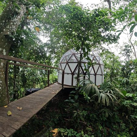 Taorayina Nature Lodge- Immersed In The Forest เอลไซโน ภายนอก รูปภาพ