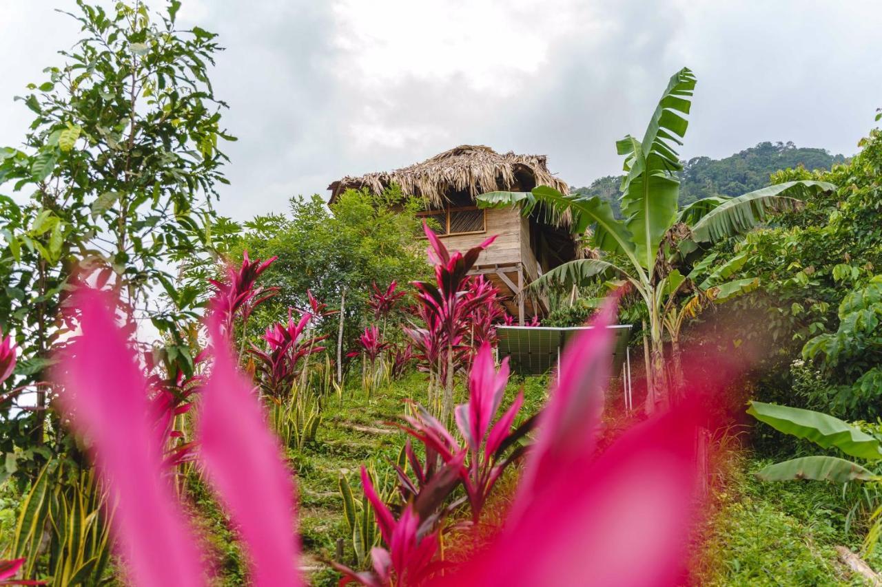 Taorayina Nature Lodge- Immersed In The Forest เอลไซโน ภายนอก รูปภาพ