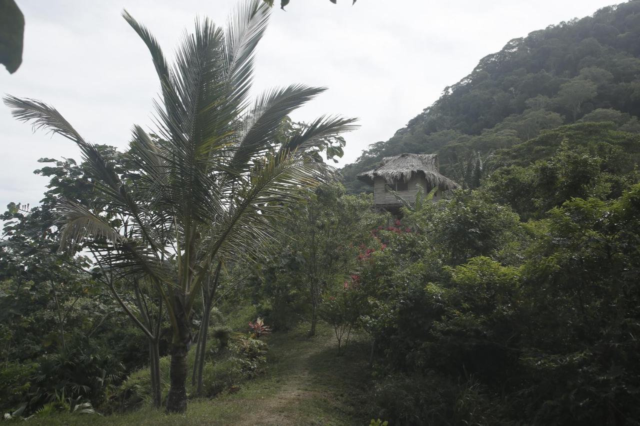Taorayina Nature Lodge- Immersed In The Forest เอลไซโน ภายนอก รูปภาพ