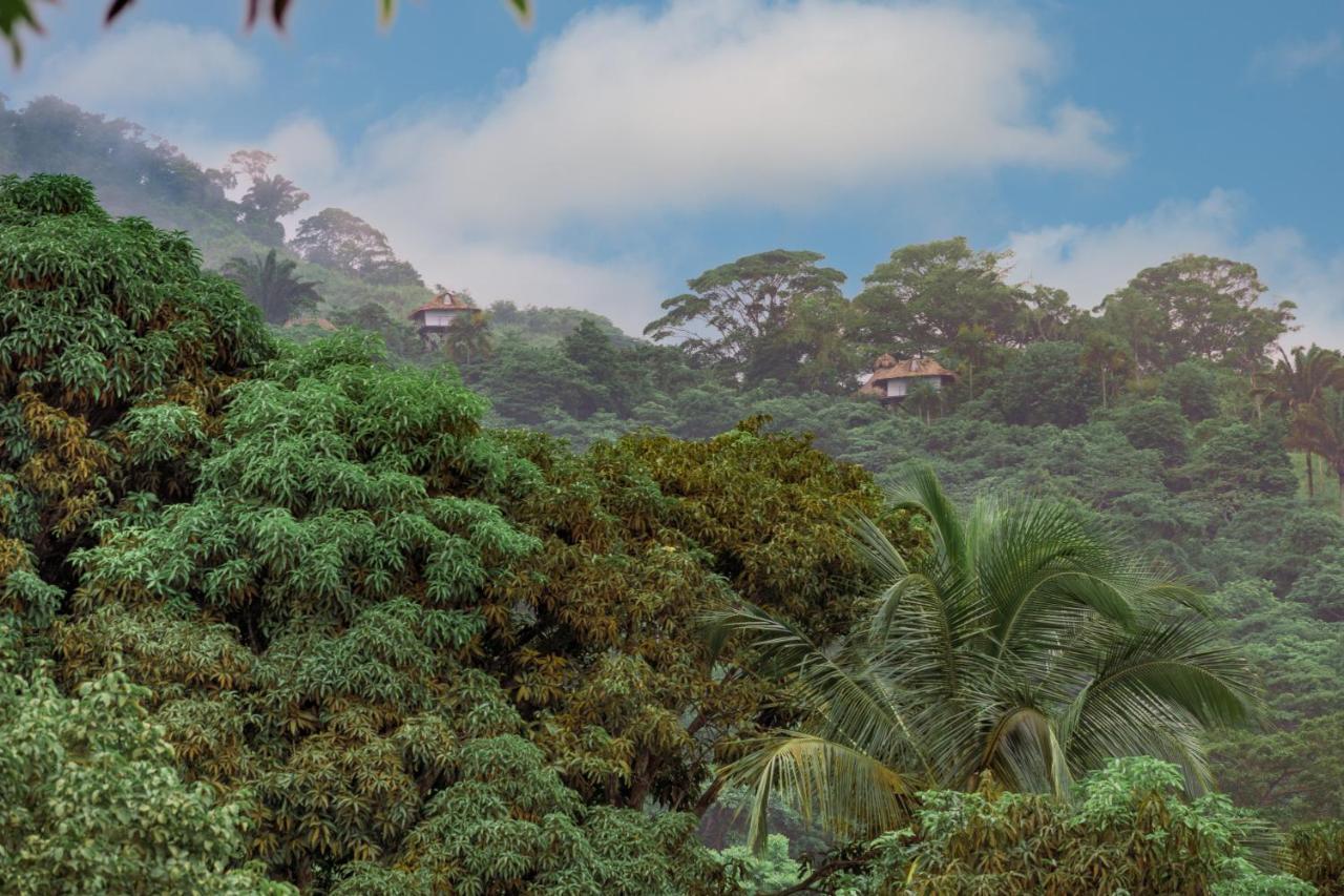 Taorayina Nature Lodge- Immersed In The Forest เอลไซโน ภายนอก รูปภาพ