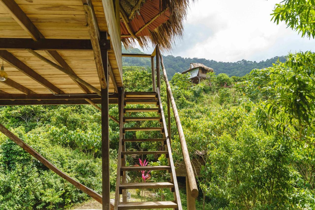 Taorayina Nature Lodge- Immersed In The Forest เอลไซโน ภายนอก รูปภาพ