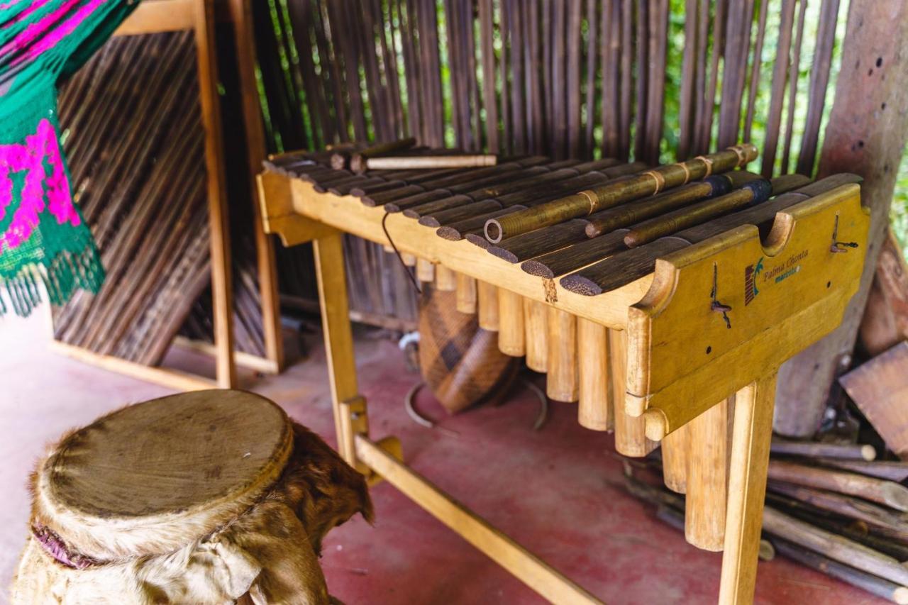 Taorayina Nature Lodge- Immersed In The Forest เอลไซโน ภายนอก รูปภาพ