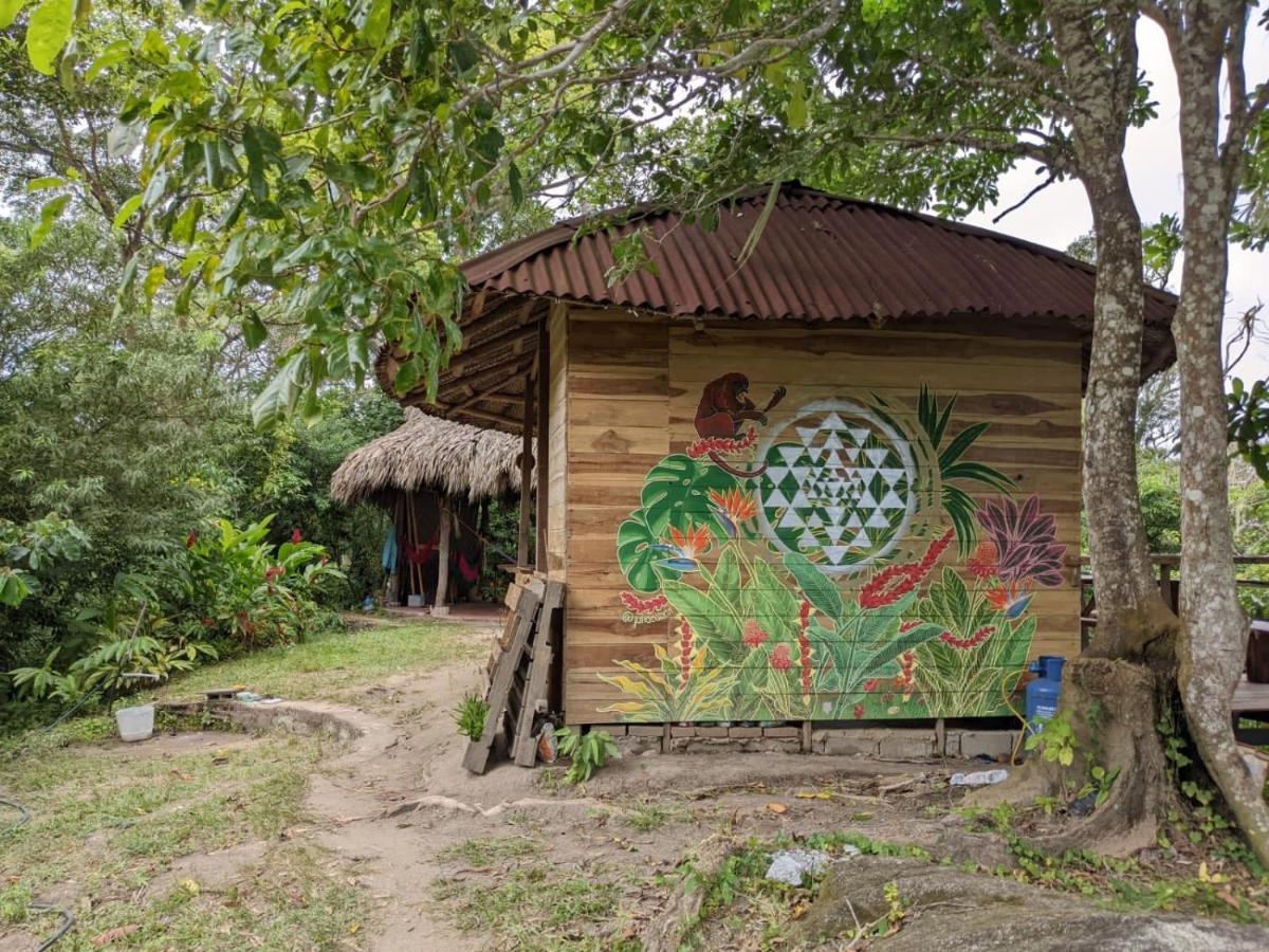 Taorayina Nature Lodge- Immersed In The Forest เอลไซโน ภายนอก รูปภาพ