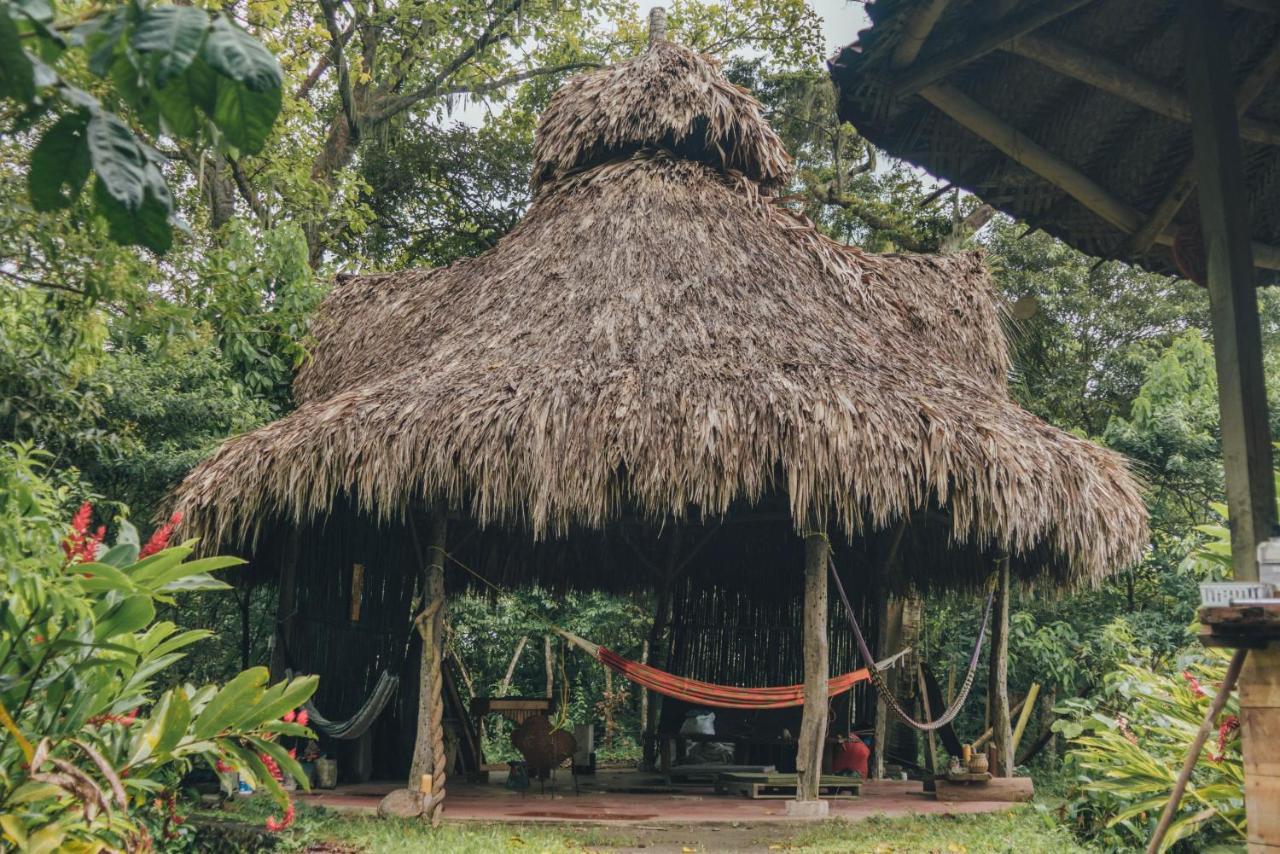 Taorayina Nature Lodge- Immersed In The Forest เอลไซโน ภายนอก รูปภาพ