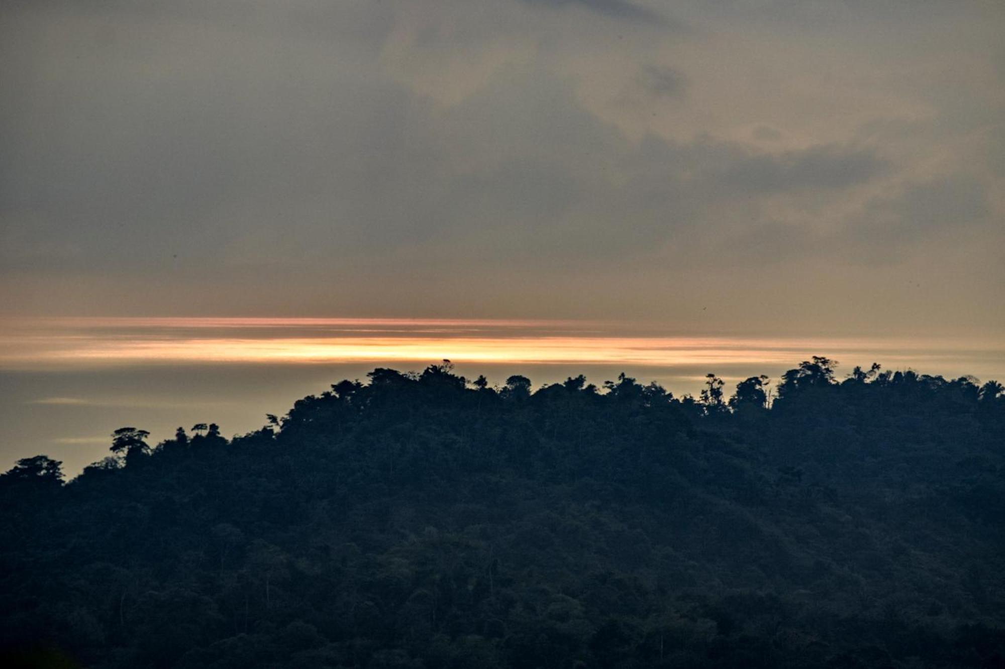 Taorayina Nature Lodge- Immersed In The Forest เอลไซโน ภายนอก รูปภาพ