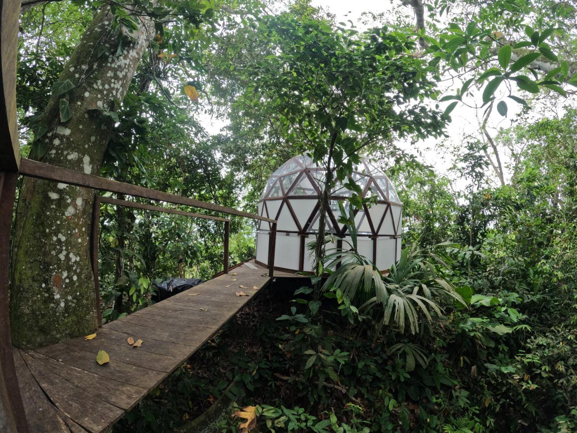 Taorayina Nature Lodge- Immersed In The Forest เอลไซโน ภายนอก รูปภาพ