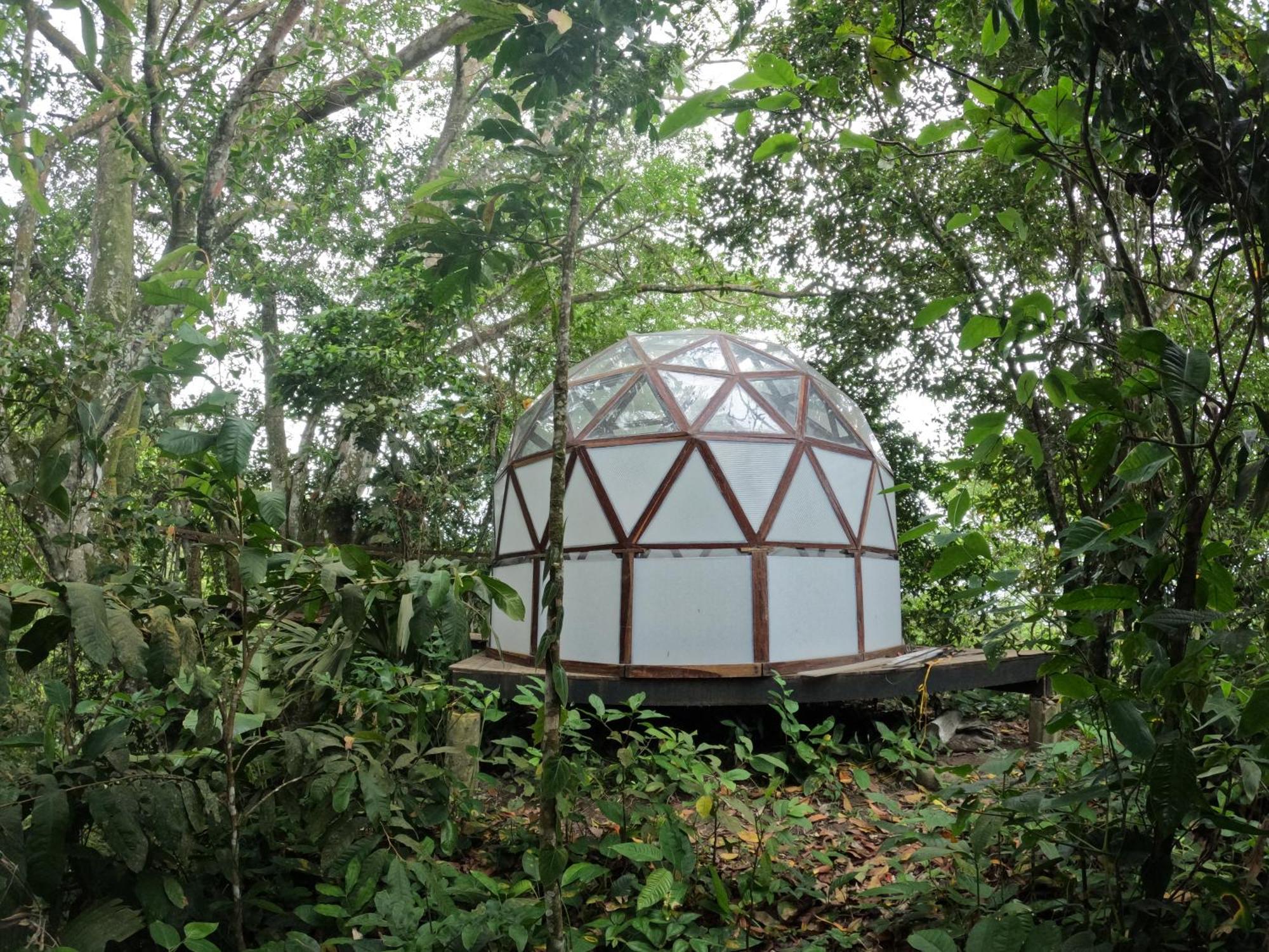 Taorayina Nature Lodge- Immersed In The Forest เอลไซโน ภายนอก รูปภาพ