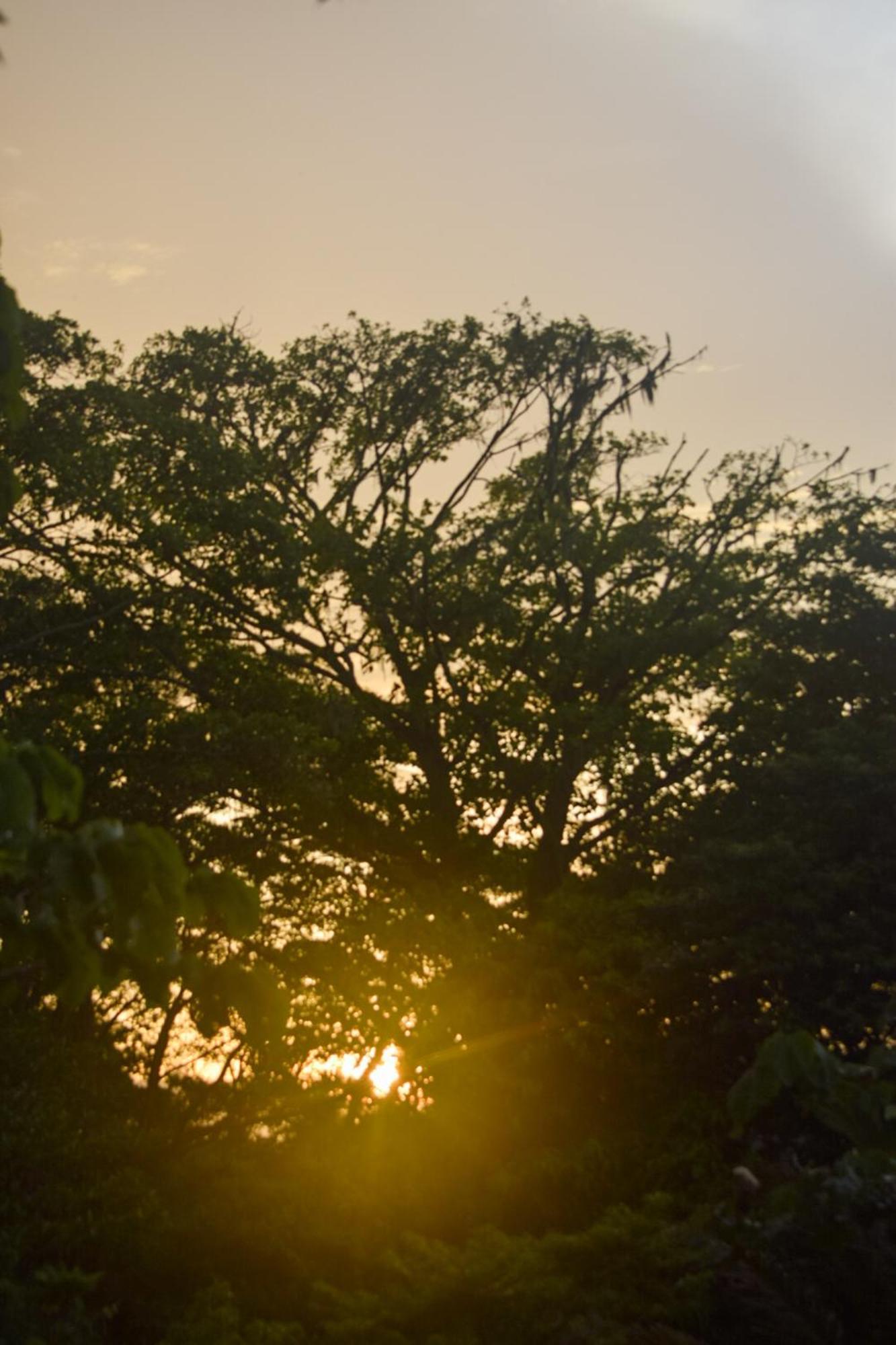 Taorayina Nature Lodge- Immersed In The Forest เอลไซโน ภายนอก รูปภาพ