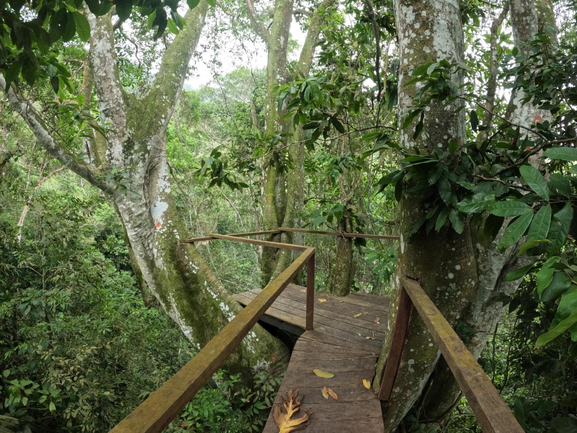 Taorayina Nature Lodge- Immersed In The Forest เอลไซโน ภายนอก รูปภาพ
