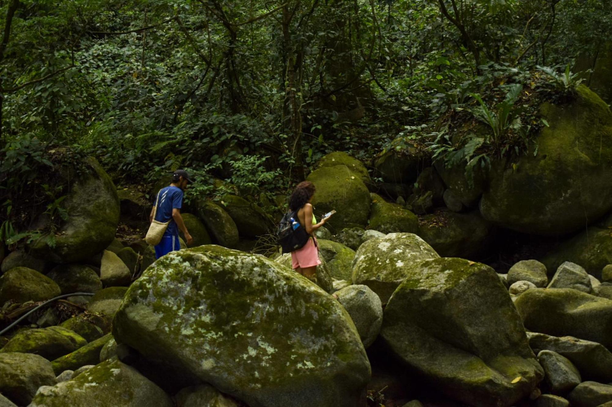 Taorayina Nature Lodge- Immersed In The Forest เอลไซโน ภายนอก รูปภาพ