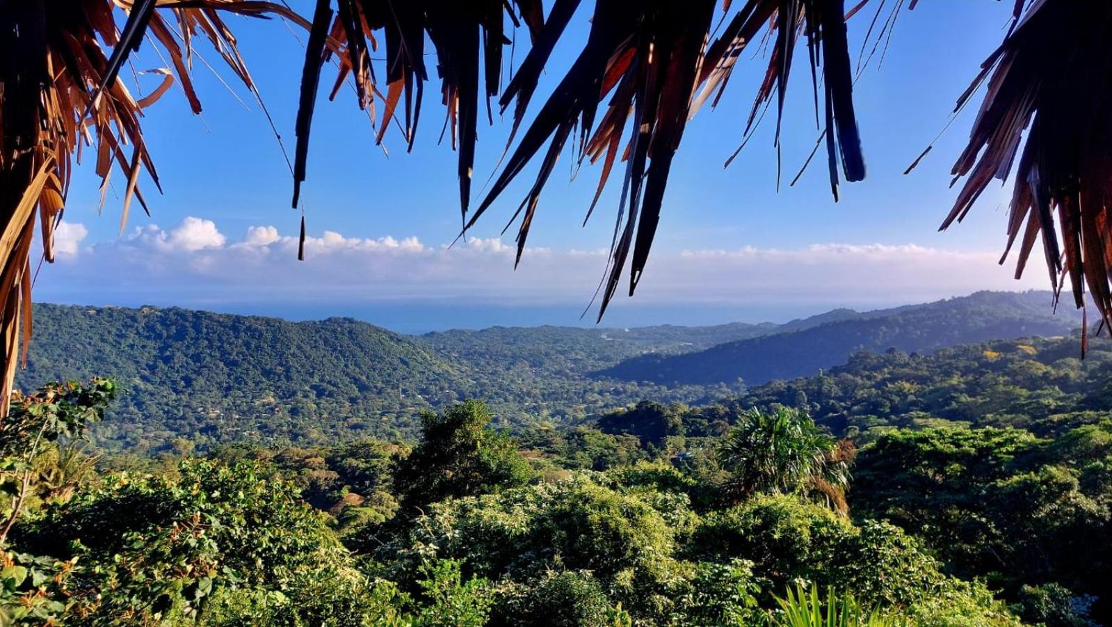 Taorayina Nature Lodge- Immersed In The Forest เอลไซโน ภายนอก รูปภาพ