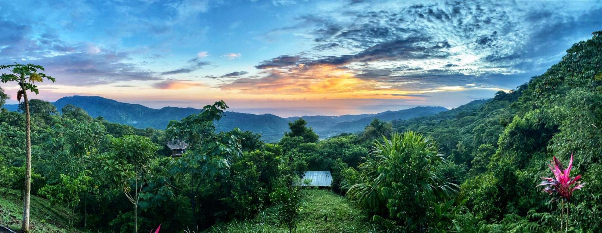 Taorayina Nature Lodge- Immersed In The Forest เอลไซโน ภายนอก รูปภาพ